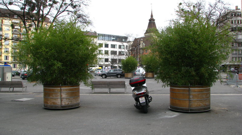 slideshow image